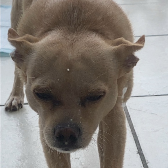 Meet your Posher, Jose - Picture 1 of 1